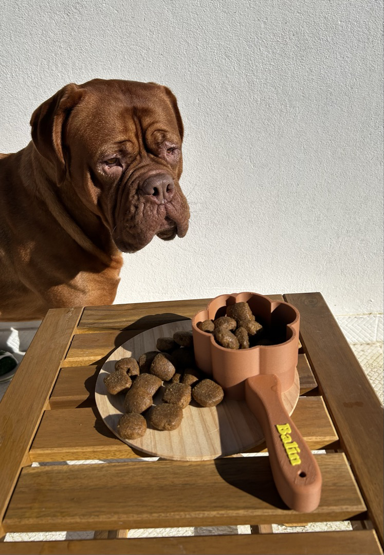 Scoop Personalizado Pets